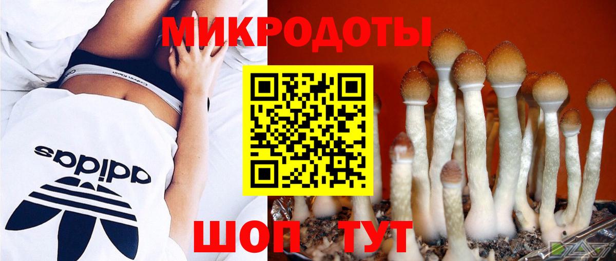 как найти закладки  Вход с VPN  Кизляр  Галлюциногенные грибы Magic Shrooms 
